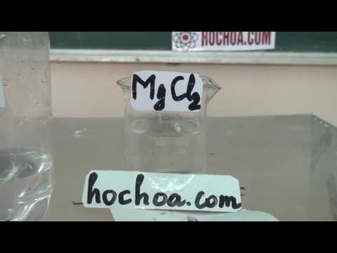 Video Thí nghiệm; Na + dd MgCl2 - Rất trực quan, dễ hiểu -... - youtube
