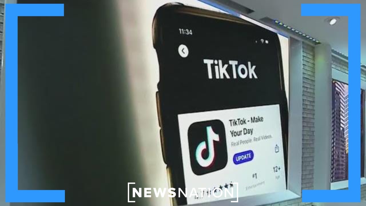 Former Treasury Secretary Steve Mnuchin building group to buy TikTok | NewsNation Now