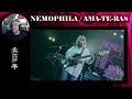 NEMOPHILA / AMA-TE-RAS [Official Live Video] - Rants &amp; Reactions with Rollen Green