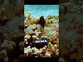 Snorkeling Patience Reveals Hidden Underwater Treasures