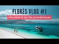 Ile de flores indonesie vlog 1maumere et ses iles paradisiaques