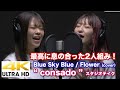 【4K】最高に息の合った2人組み!  Blue Sky Blue / Flower(cover)&quot; consado &quot; スタジオテイク &quot;もっちゃんの部屋&quot;コラボ  4K動画