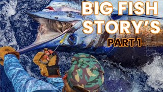 Big Fish Story & Lure spreads - Part 1 | Waterman S05E10 | Visions of Granders