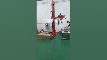 single column  palletizer for carton stacking