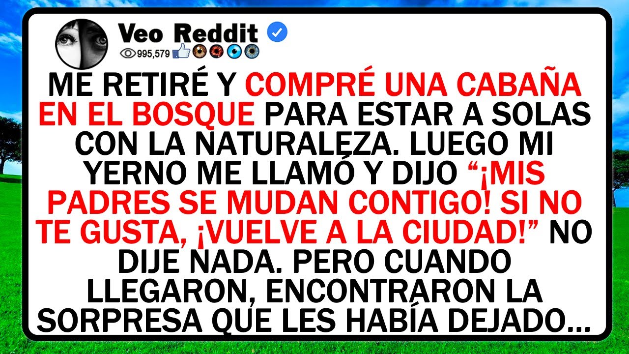 Me Retiré Y Compré Una Cabaña En El Bosque Para Estar A Solas Con La Naturaleza. Luego Mi Yerno...