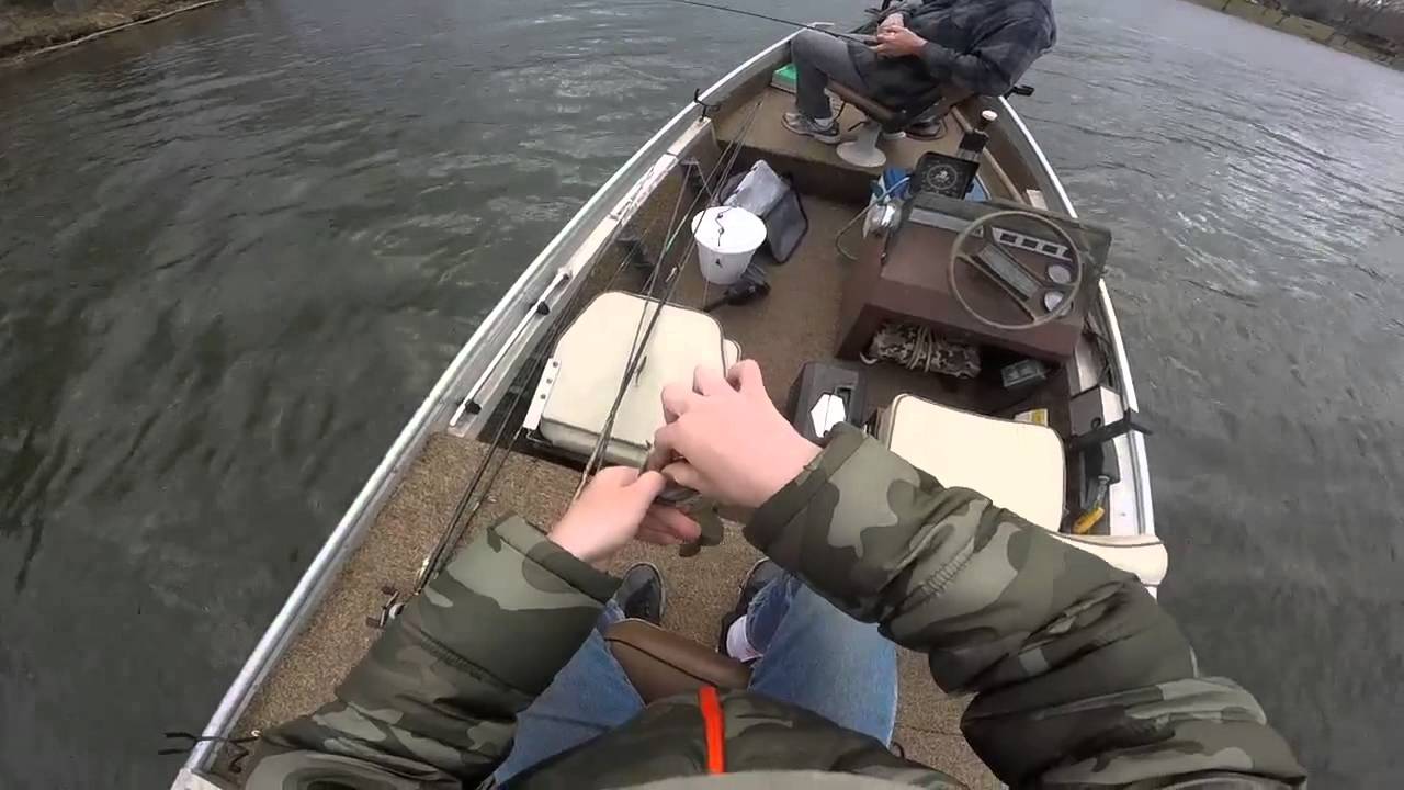 Lake egypt bass fishing YouTube