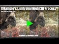 😱😍A Ramble and a bit of Lightroom High ISO Processing😍😱