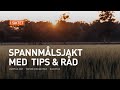 Spannmåls jakt med tips & råd