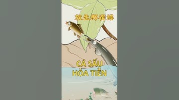 Cá sấu hoả tiễn hung ntn #khuvuonthichbuonchuyen #hoathinhvuinhon #funnycartoon #spottedgar #shorts