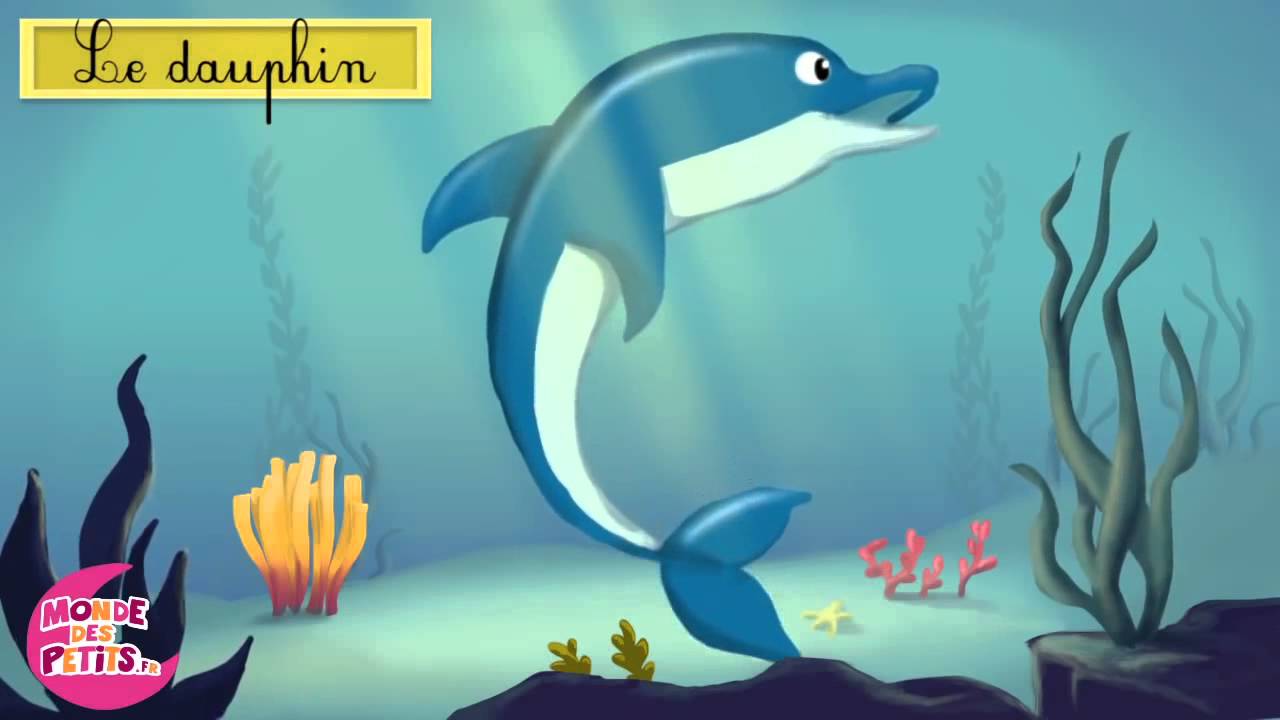 Apprendre Les Animaux Aquatiques En Francais Youtube Apprendre Les Animaux Aquatiques En Francais Youtube