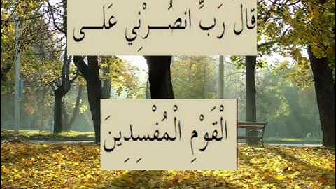 القران الكريم سورة العنكبوت الأية 30.wmv