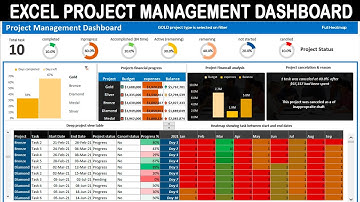 PROGRAM MANAGEMENT DASHBOARD EXCEL (Excel Dashboard Video Tutorial full class)