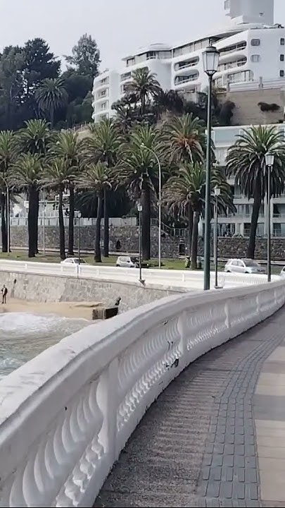 HACHECE+TV AVENIDA MIRAMAR VIÑA DEL MAR CHILE 🇨🇱 - YouTube