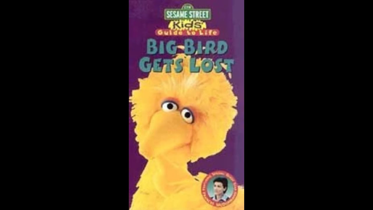 Sesame Street Kids' Guide To Life Big Bird Gets Lost
