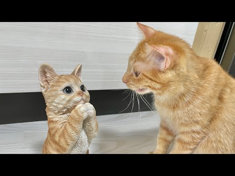 猫の置物に嫉妬するのか？