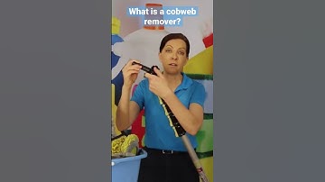 What is a Cobweb Remover?