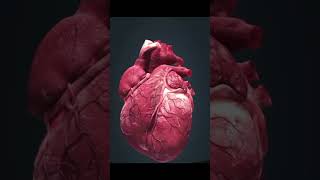 Seriously 🤯😵#heart #biology #class12 #class10 #neet #facts