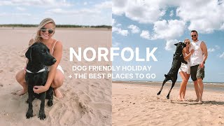 FIRST HOLIDAY WITH OUR LABRADOR | Norfolk Coast vlog