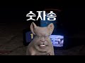 mc재명-숫잡음송