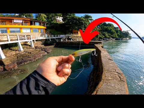 Miniatura do vídeo: ✅️Em busca dos ROBALOS de MANGARATIBA! Pescaria com ISCAS ARTIFICIAIS. 