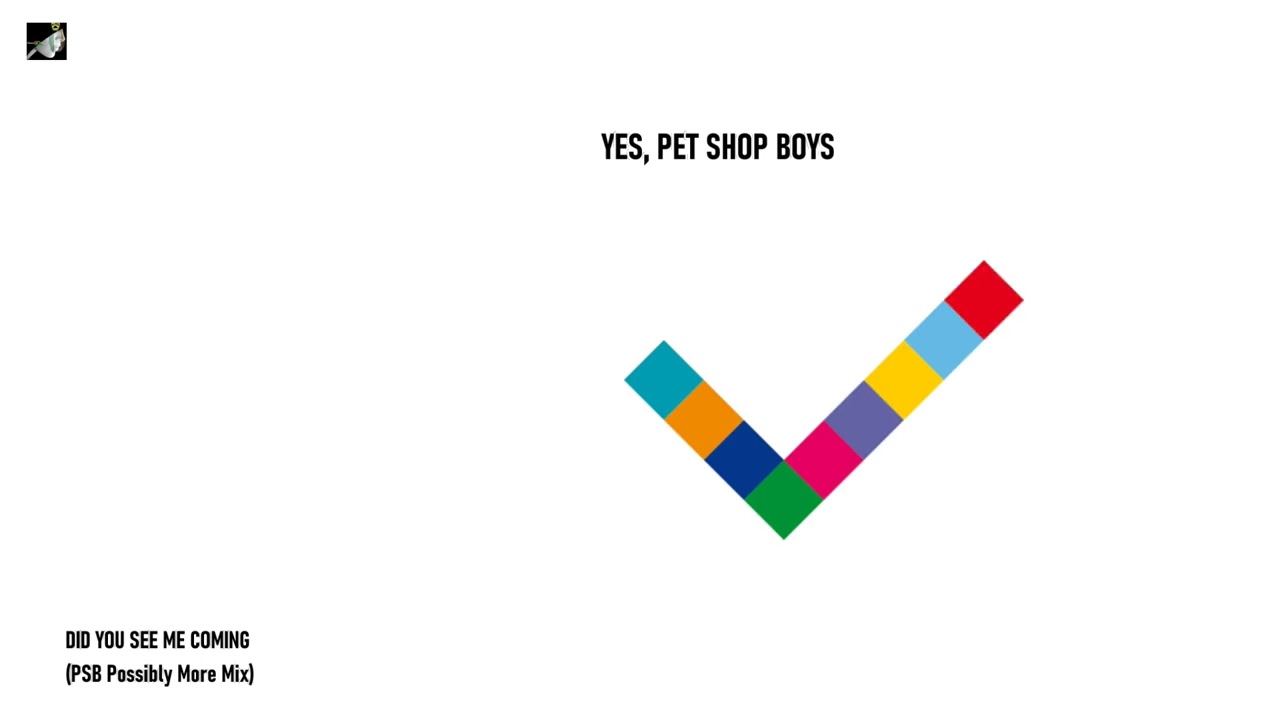 Did You See Me Coming (PSB Possibly More Mix) by Pet Shop