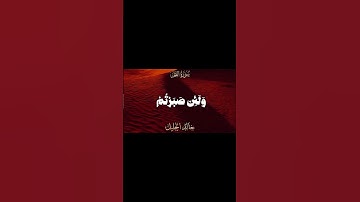 ولئن صبرتم لهو خير للصابرين |سورة النحل #قرآن #قران_كريم #قران_كريم_راحة_نفسية #اكسبلور #لايك #quran