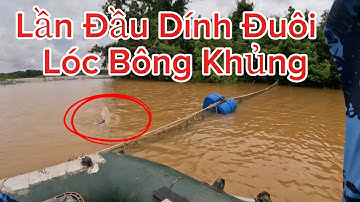 Điểm câu cá lóc bông khủng tại bình phước huynhvananfishing
