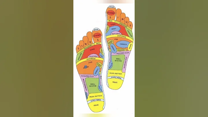 50 + Reasons to Massage Your feet everyday before sleeping in night | Foot Acupressure Points - DayDayNews