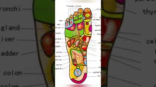 50   Reasons to Massage Your feet everyday before sleeping in night | Foot Acupressure Points