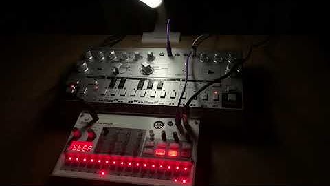 behringer TD-3/KORG volca sample/zoom MS-70CDR :Session #7