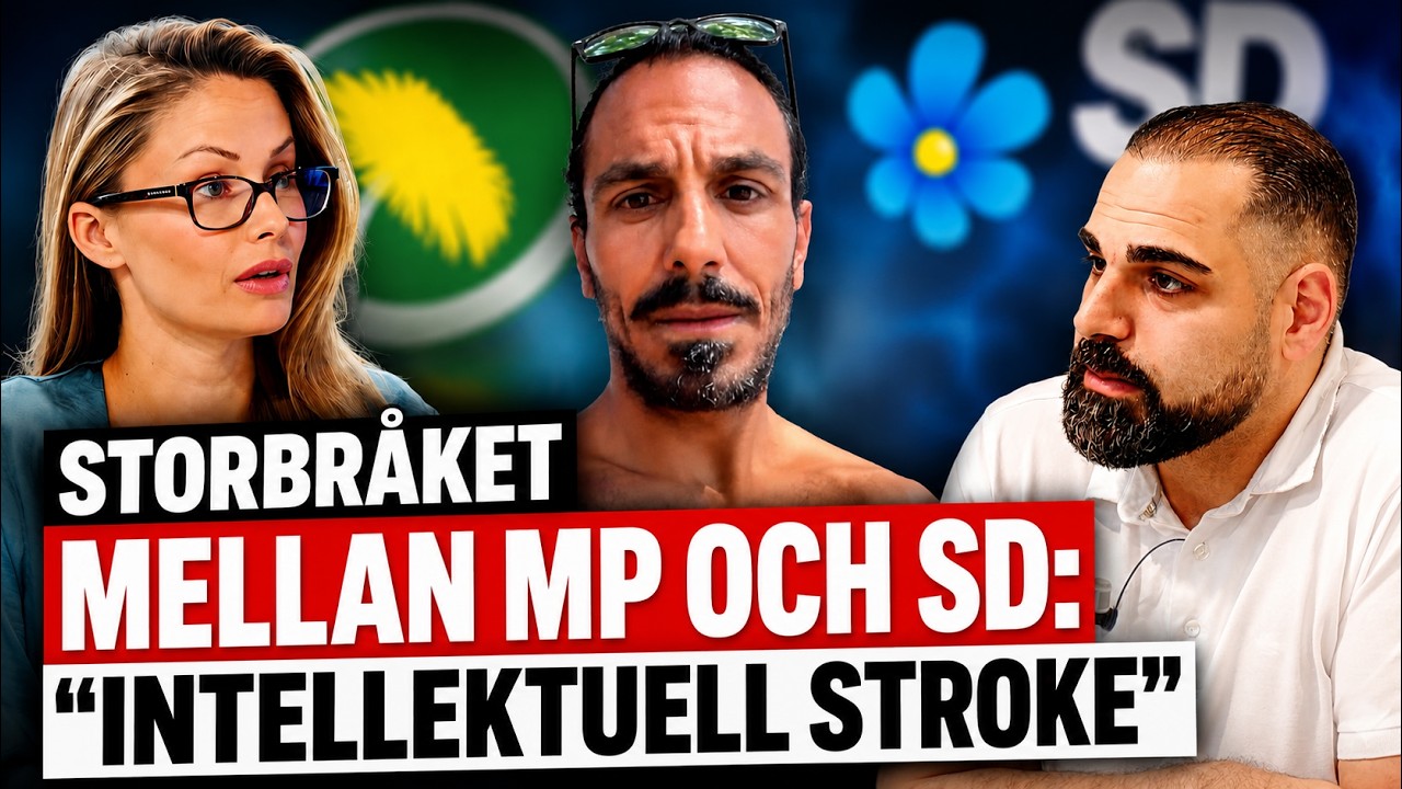 SD-toppen sågar MP-profilen: "Intellektuell stroke"