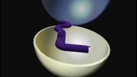 Super Monkey Ball 2 - Custom Levels Pack 1.0 - Story Mode (part 2)