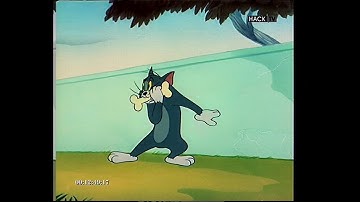Syster cut/rotate + shuffle on Premiere decoder