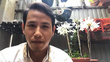 Chúc chị em phụ nữ 8/3 luôn xinh đẹp