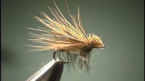 CDC Elk Hair Caddis tied by Shane Stalcup