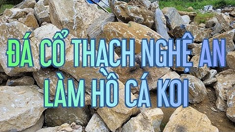 đá cổ thạch nghệ an làm hồ cá koi đẹp