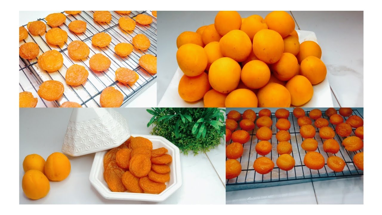 مشمش مجفف في البيت أحسن من الجاهز ⁉️ علاش تشريه غالي 😲 استغلي وقت المشماش وحضريه فيوم واحد فقط