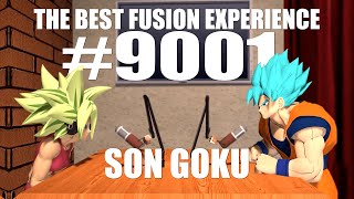 The Best Fusion Experience