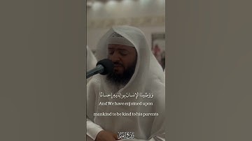 ووصينا الإنسان بوالديه إحسانا || الشيخ وديع اليمني تلاوة خاشعة من سورة الأحقاف #وديع_اليمني