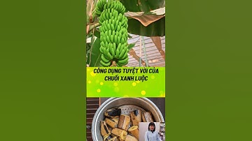 Công Dụng Tuyệt Vời Của Chuối Xanh Luộc#biquyetsongkhoetre #songkhoe #shortsvideo