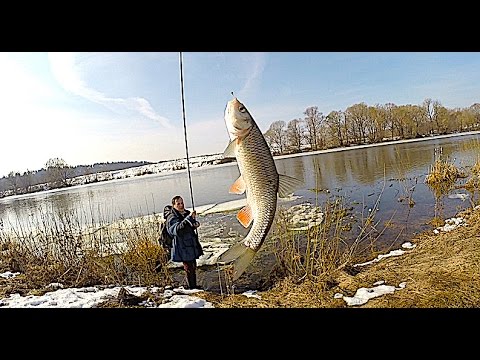 Рыбалка на мормышку с боковым кивком весной по открытой воде.Самая уловистая снасть в межсезонье.