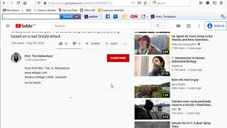 How To Make YouTube Comments on witiger.com