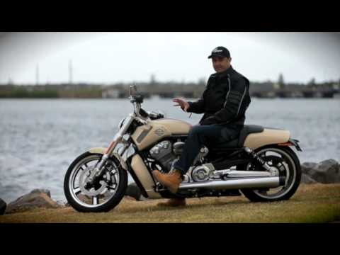 Harley Davidson V Rod Muscle Review Harley Davidson V Rod Muscle Review