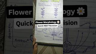 Morphology Of Flower 🌺 - NEET Revision #biology #explore #neet #shorts #cbse