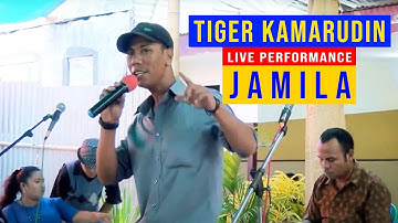 JAMILA - Tiger Kamarudin || Live Wedding