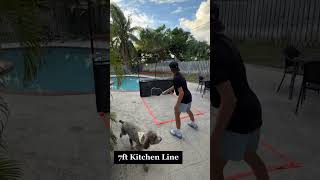 Pickleball Quick Hands Practice at Home ⚡🏓