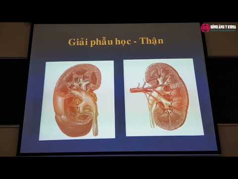 Video 14.1 Siêu âm hệ niệu (phần 1) - TS.BS Hồ Hoàng Phương... - youtube