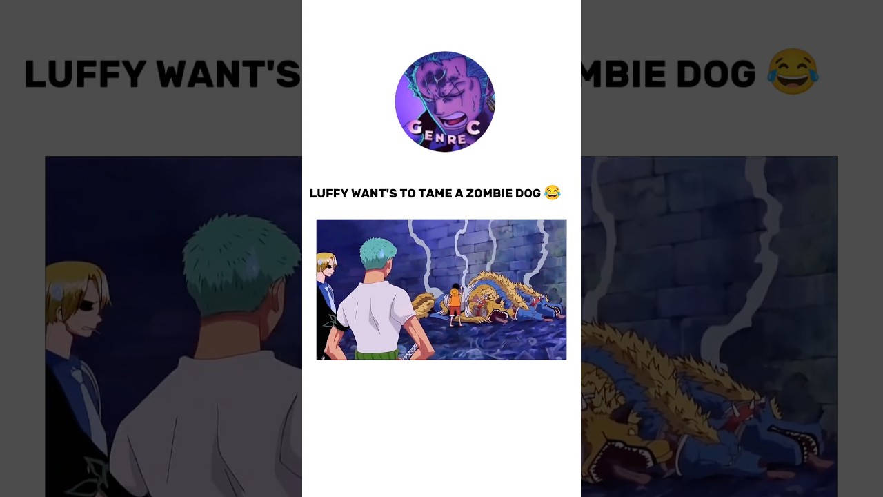 Luffy want to tame a zombie dog | Thriller Bark Arc is so funny | 
