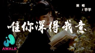 羊羊 - 唯你深得我意『曾吹過的風淋過的雨也算在一起，翻過的山看過的海也算奔赴你。』【動態歌詞 | Pinyin Lyrics】【AWALK MUSIC】