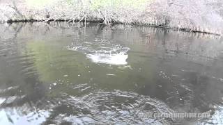 Dave Orrick Float Tube B Fishing